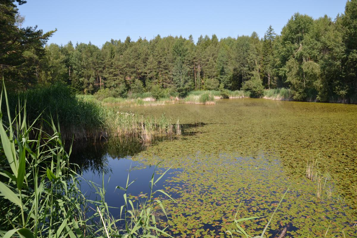 Partschonerhof 17.07.2023